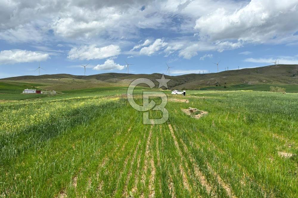 CB CİTİY'DEN ULUDERE MAHALLESİNDE ELEKTİRİĞİ OLAN SATILIK TARLA