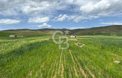 CB CİTİY'DEN ULUDERE MAHALLESİNDE ELEKTİRİĞİ OLAN SATILIK TARLA