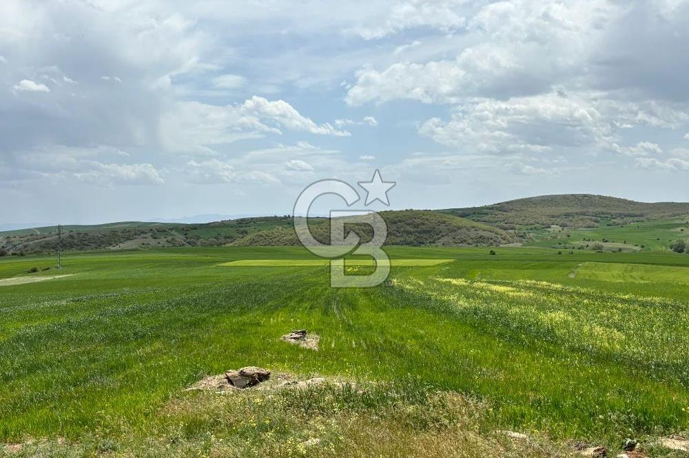CB CİTİY'DEN ULUDERE MAHALLESİNDE ELEKTİRİĞİ OLAN SATILIK TARLA