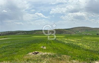 CB CİTİY'DEN ULUDERE MAHALLESİNDE ELEKTİRİĞİ OLAN SATILIK TARLA
