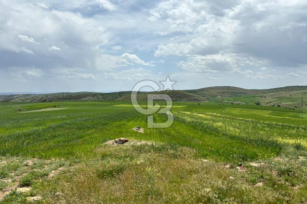 CB CİTİY'DEN ULUDERE MAHALLESİNDE ELEKTİRİĞİ OLAN SATILIK TARLA