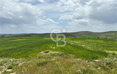 CB CİTİY'DEN ULUDERE MAHALLESİNDE ELEKTİRİĞİ OLAN SATILIK TARLA