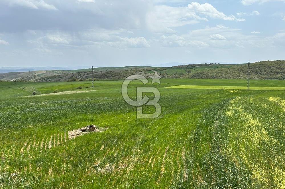 CB CİTİY'DEN ULUDERE MAHALLESİNDE ELEKTİRİĞİ OLAN SATILIK TARLA