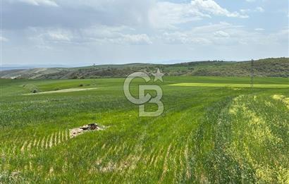 CB CİTİY'DEN ULUDERE MAHALLESİNDE ELEKTİRİĞİ OLAN SATILIK TARLA