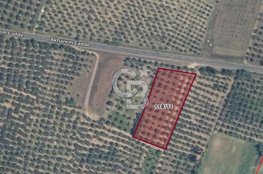 CB CLASS BURSA -ORHANGAZİ- AKHAREM 3.588 m² SATILIK ZEYTİNLİK
