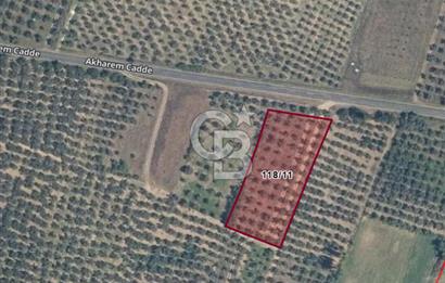 CB CLASS BURSA -ORHANGAZİ- AKHAREM 3.588 m² SATILIK ZEYTİNLİK
