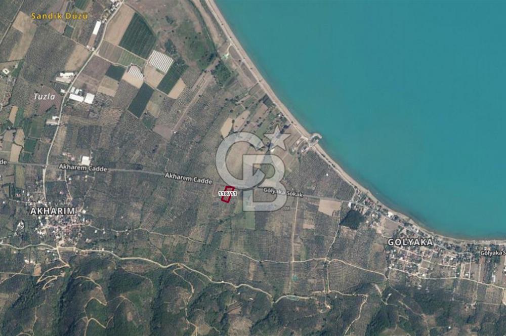 CB CLASS BURSA -ORHANGAZİ- AKHAREM 3.588 m² SATILIK ZEYTİNLİK