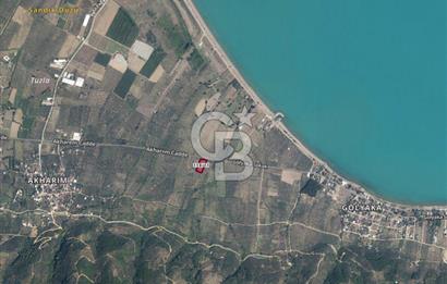 CB CLASS BURSA -ORHANGAZİ- AKHAREM 3.588 m² SATILIK ZEYTİNLİK