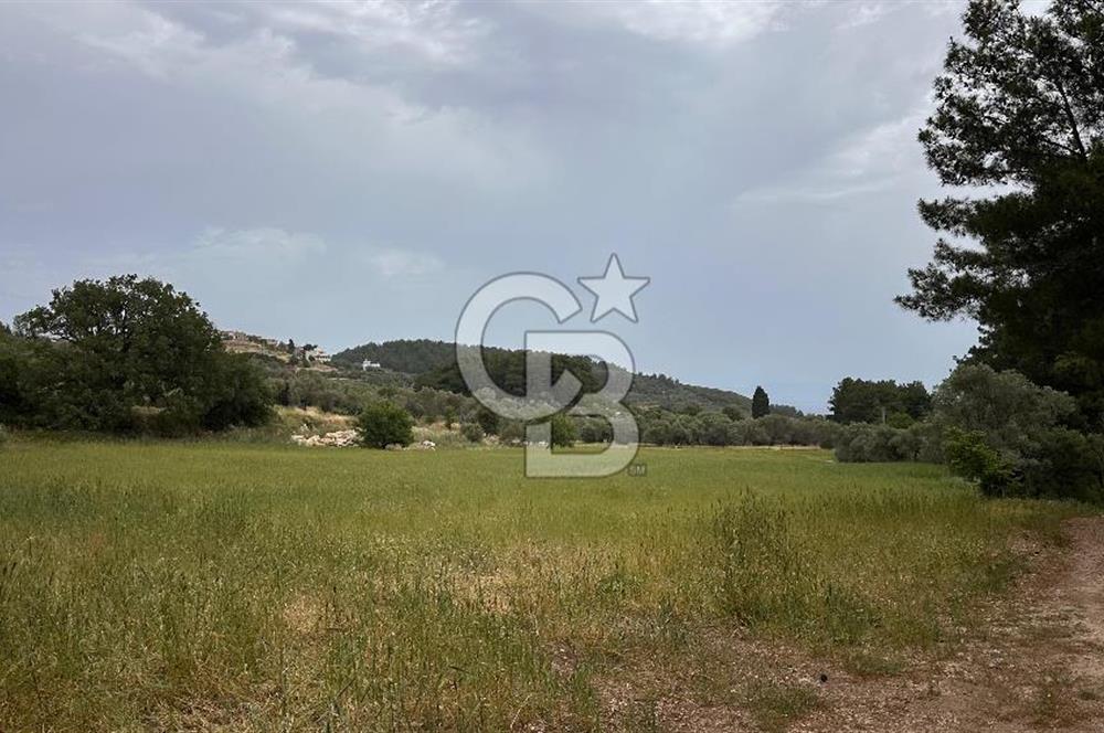 Karaburun İnecik Mahallesi'nde 17.180 m² Satılık Arazi