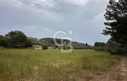 Karaburun İnecik Mahallesi'nde 17.180 m² Satılık Arazi