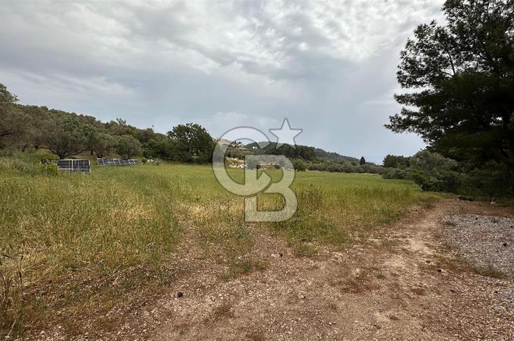 Karaburun İnecik Mahallesi'nde 17.180 m² Satılık Arazi