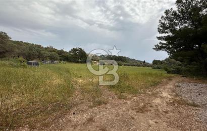 Karaburun İnecik Mahallesi'nde 17.180 m² Satılık Arazi