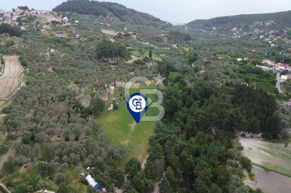 Karaburun İnecik Mahallesi'nde 17.180 m² Satılık Arazi