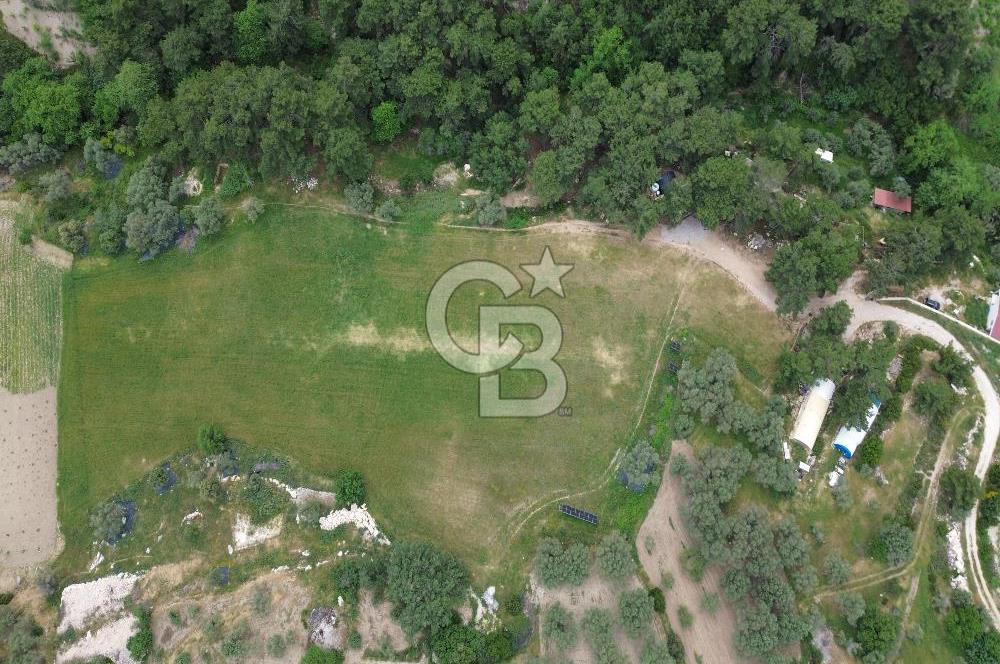 Karaburun İnecik Mahallesi'nde 17.180 m² Satılık Arazi