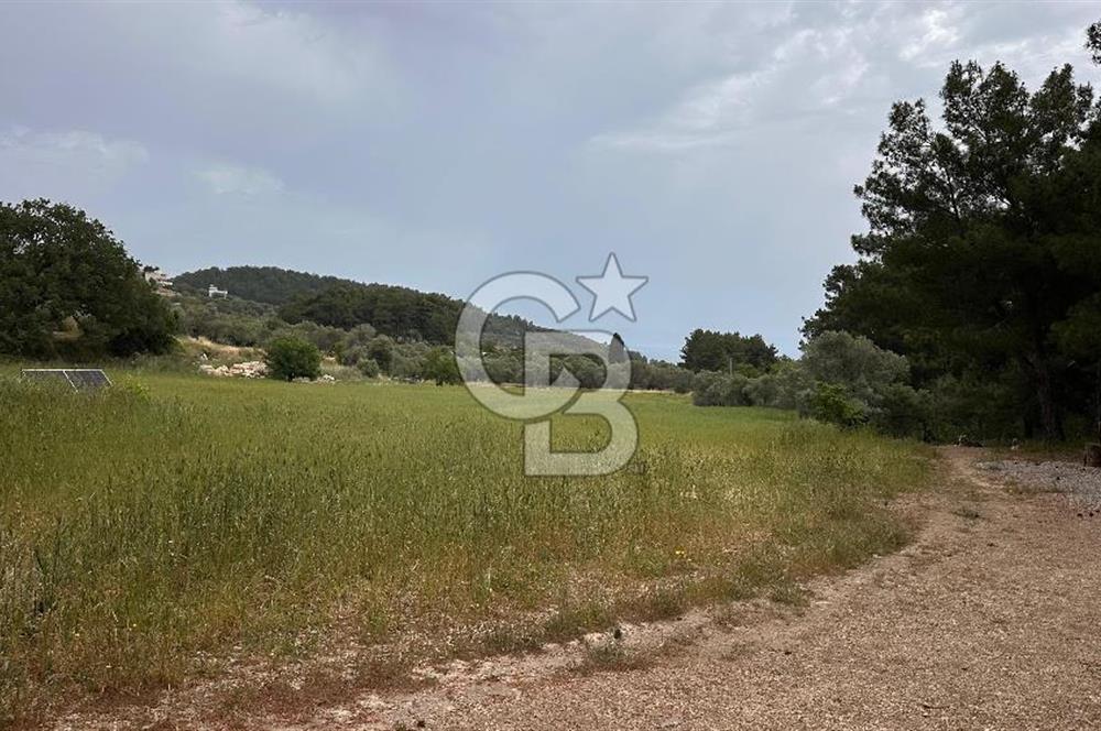 Karaburun İnecik Mahallesi'nde 17.180 m² Satılık Arazi