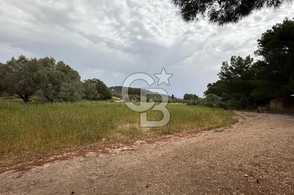 Karaburun İnecik Mahallesi'nde 17.180 m² Satılık Arazi