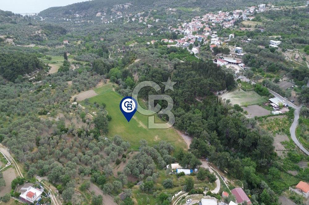 Karaburun İnecik Mahallesi'nde 17.180 m² Satılık Arazi