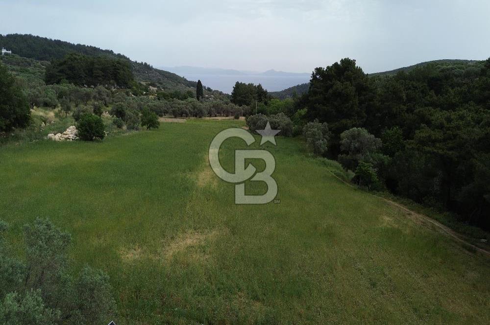 Karaburun İnecik Mahallesi'nde 17.180 m² Satılık Arazi