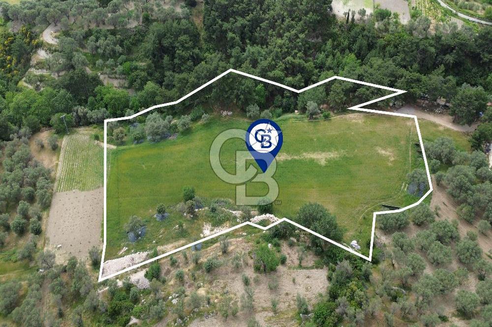 Karaburun İnecik Mahallesi'nde 17.180 m² Satılık Arazi