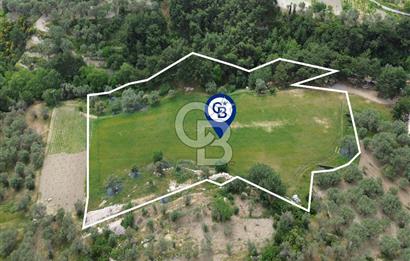 Karaburun İnecik Mahallesi'nde 17.180 m² Satılık Arazi