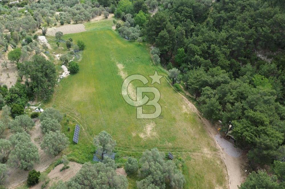 Karaburun İnecik Mahallesi'nde 17.180 m² Satılık Arazi