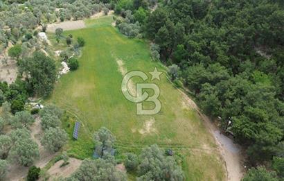 Karaburun İnecik Mahallesi'nde 17.180 m² Satılık Arazi