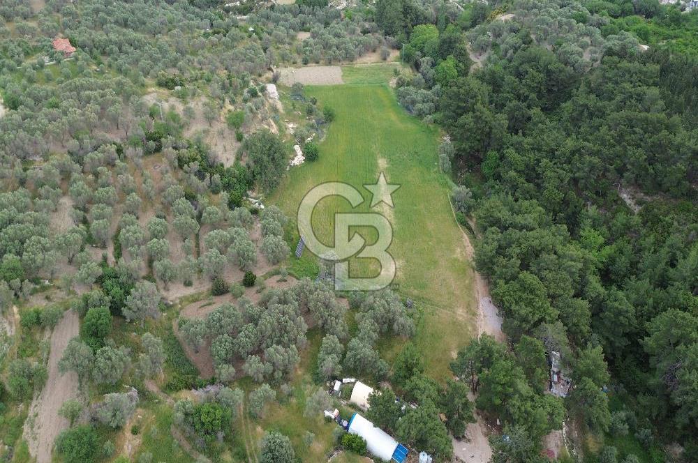 Karaburun İnecik Mahallesi'nde 17.180 m² Satılık Arazi