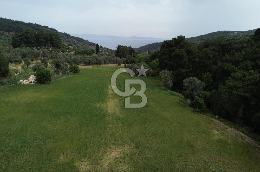 Karaburun İnecik Mahallesi'nde 17.180 m² Satılık Arazi