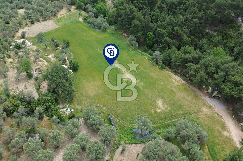 Karaburun İnecik Mahallesi'nde 17.180 m² Satılık Arazi
