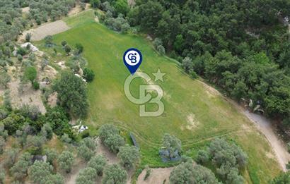 Karaburun İnecik Mahallesi'nde 17.180 m² Satılık Arazi