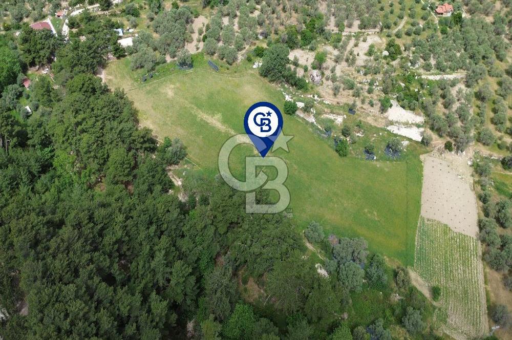 Karaburun İnecik Mahallesi'nde 17.180 m² Satılık Arazi