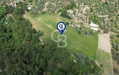 Karaburun İnecik Mahallesi'nde 17.180 m² Satılık Arazi
