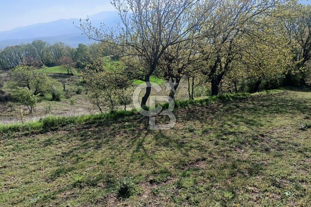 Kocaeli Karamürsel Semetler'de yatırımlık tarla