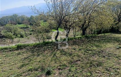 Kocaeli Karamürsel Semetler'de yatırımlık tarla