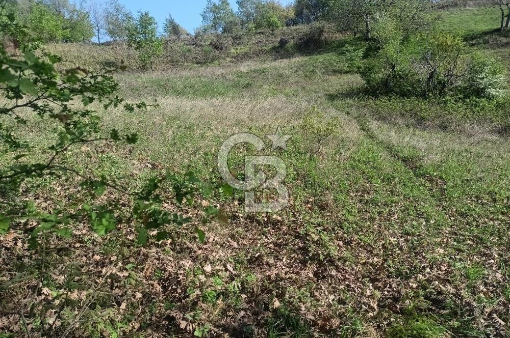 Kocaeli Karamürsel Semetler'de yatırımlık tarla