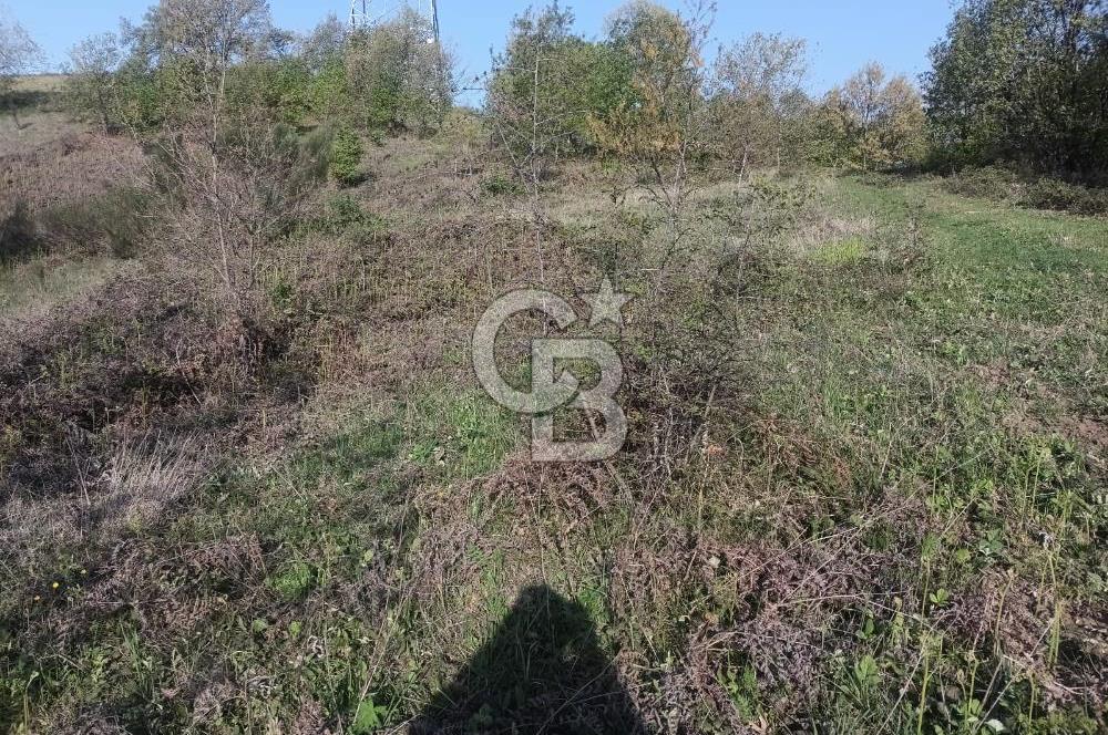 Kocaeli Karamürsel Semetler'de yatırımlık tarla