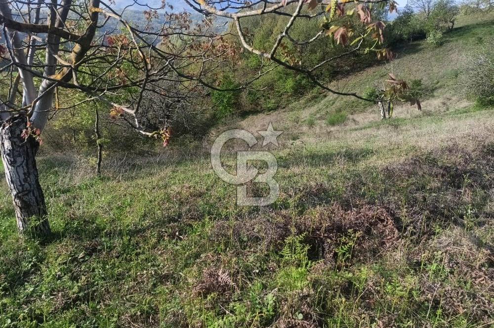 Kocaeli Karamürsel Semetler'de yatırımlık tarla