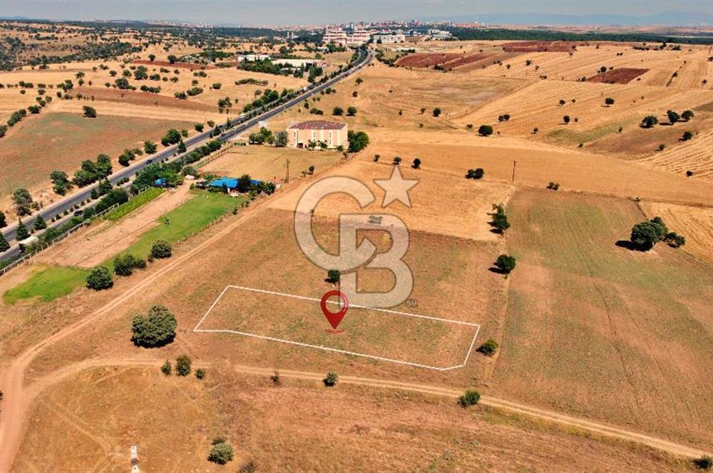 CB OPİA'DAN ÇINARCIK'TA ANAYOL ÜZERİ TİCARİ ARSA