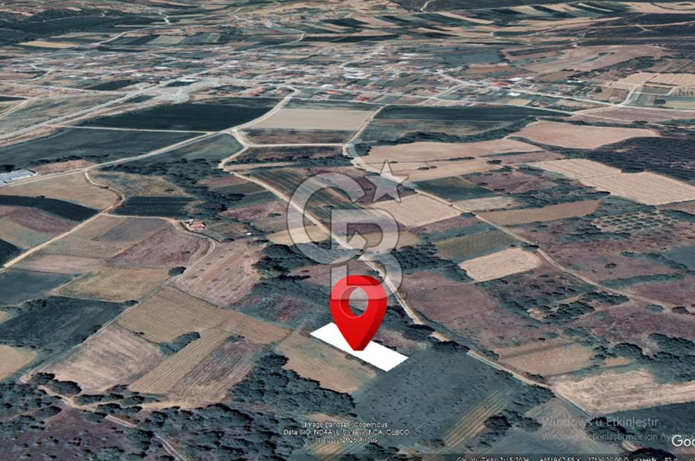 ÇANAKKALE LAPSEKİ DİŞBUDAK KÖYÜ SATILIK ARAZİ