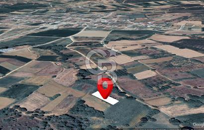 ÇANAKKALE LAPSEKİ DİŞBUDAK KÖYÜ SATILIK ARAZİ