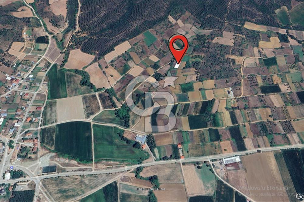 ÇANAKKALE LAPSEKİ DİŞBUDAK KÖYÜ SATILIK ARAZİ