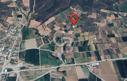 ÇANAKKALE LAPSEKİ DİŞBUDAK KÖYÜ SATILIK ARAZİ