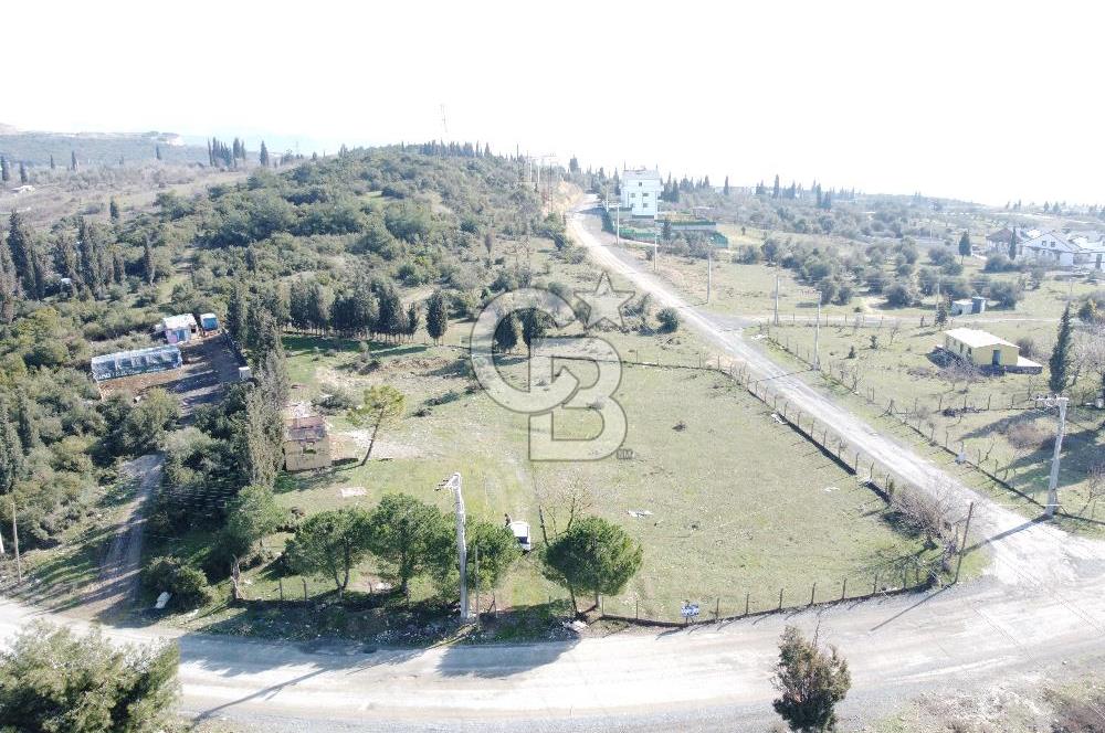 Tavşancıl Toki Konutlarına Komşu Villa İmarlı Satılık 1900m²Arsa
