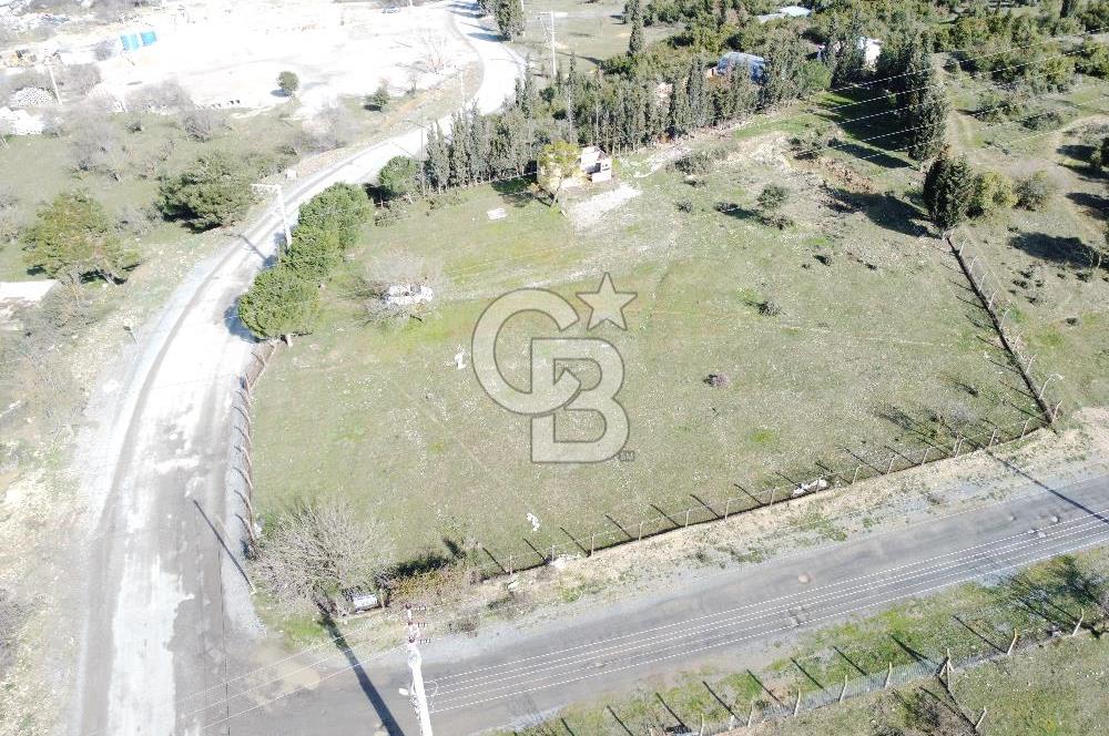 Tavşancıl Toki Konutlarına Komşu Villa İmarlı Satılık 1900m²Arsa