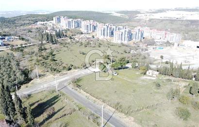 Tavşancıl Toki Konutlarına Komşu Villa İmarlı Satılık 1900m²Arsa