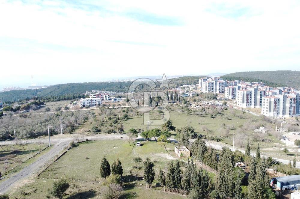 Tavşancıl Toki Konutlarına Komşu Villa İmarlı Satılık 1900m²Arsa