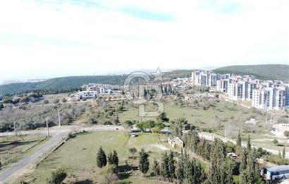 Tavşancıl Toki Konutlarına Komşu Villa İmarlı Satılık 1900m²Arsa