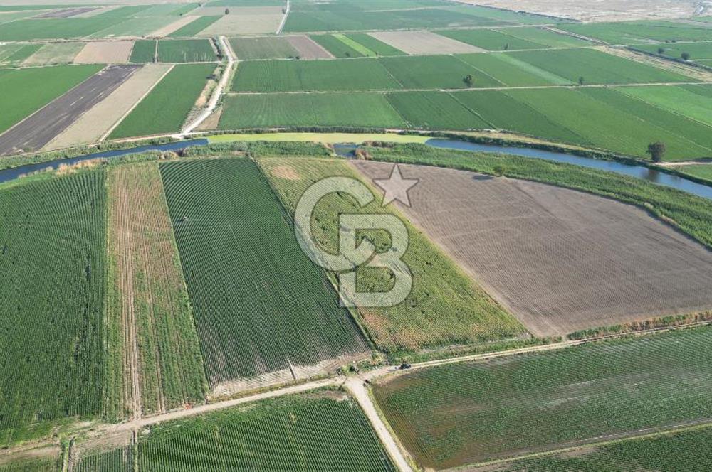 MENEMEN MALTEPE'DE CB İYA'DAN SATILIK TARLA
