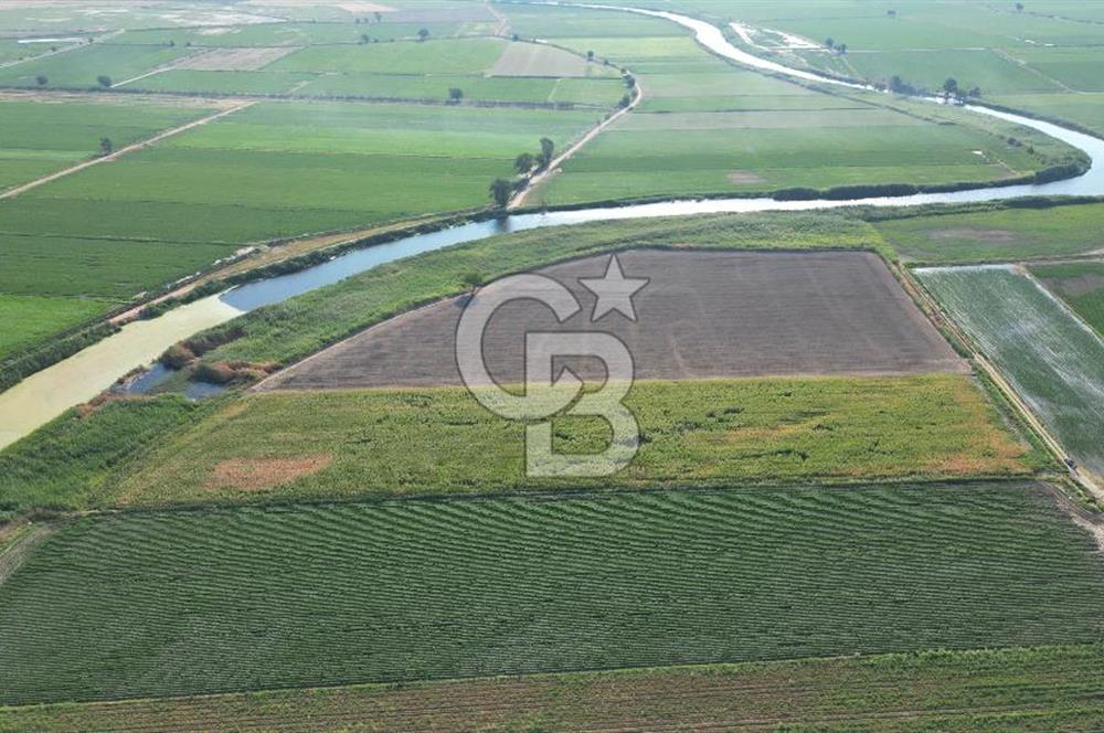 MENEMEN MALTEPE'DE CB İYA'DAN SATILIK TARLA