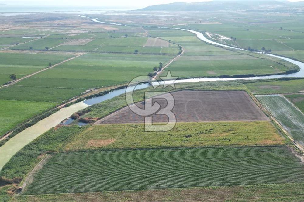 MENEMEN MALTEPE'DE CB İYA'DAN SATILIK TARLA